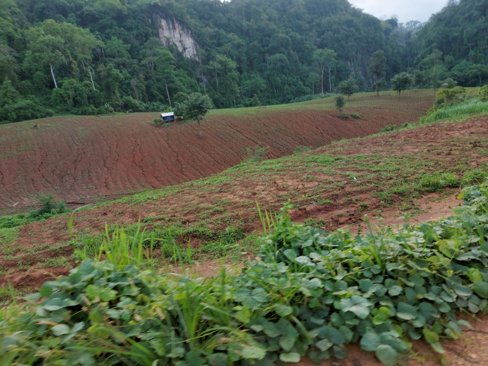 ESL field work photo 8
