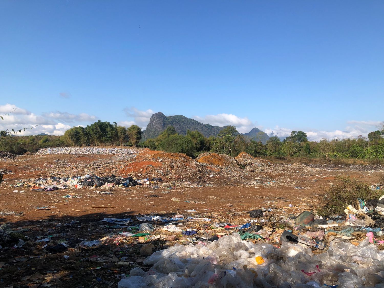 ESL field work photo 9