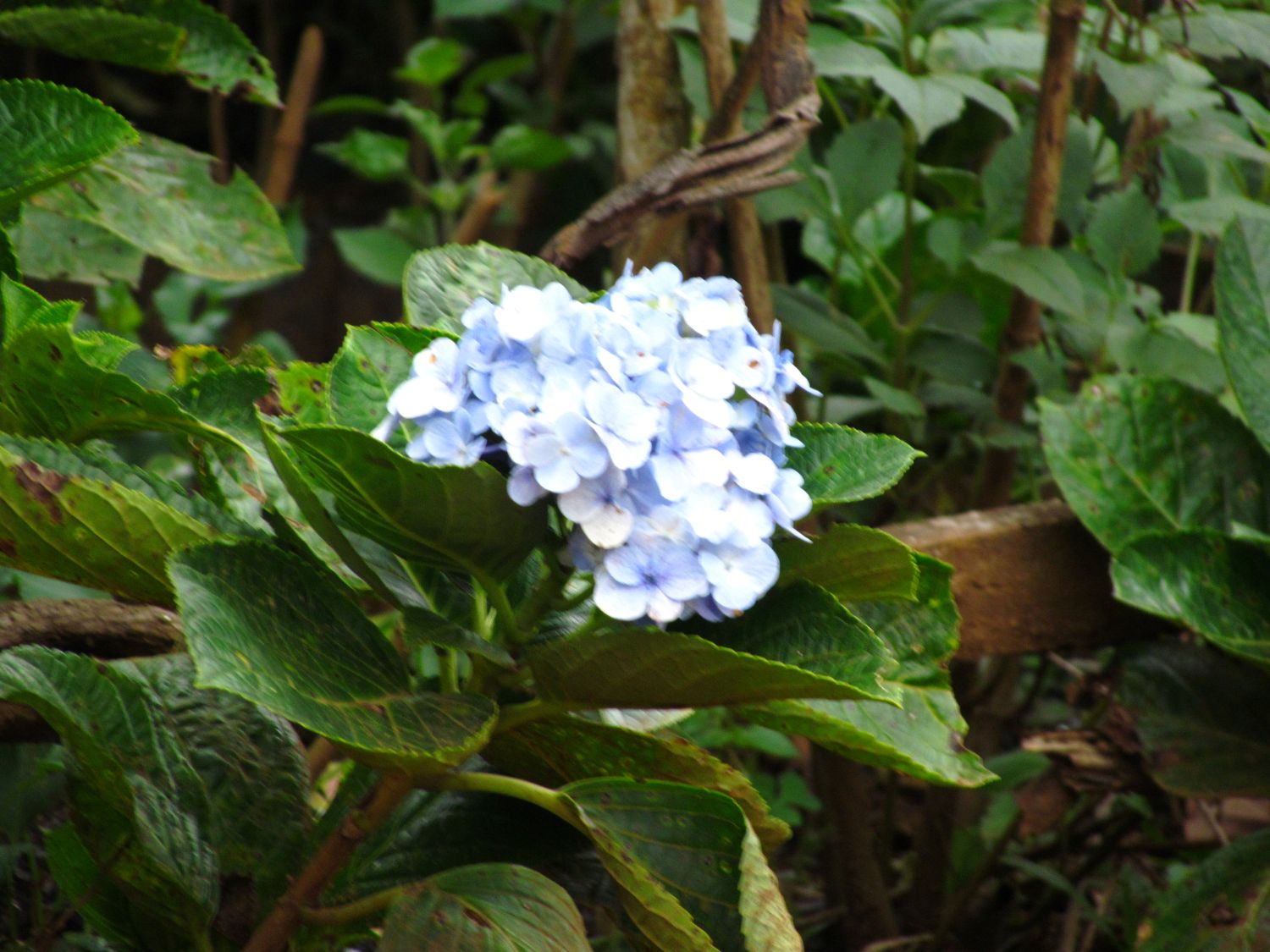 ESL field work photo 5