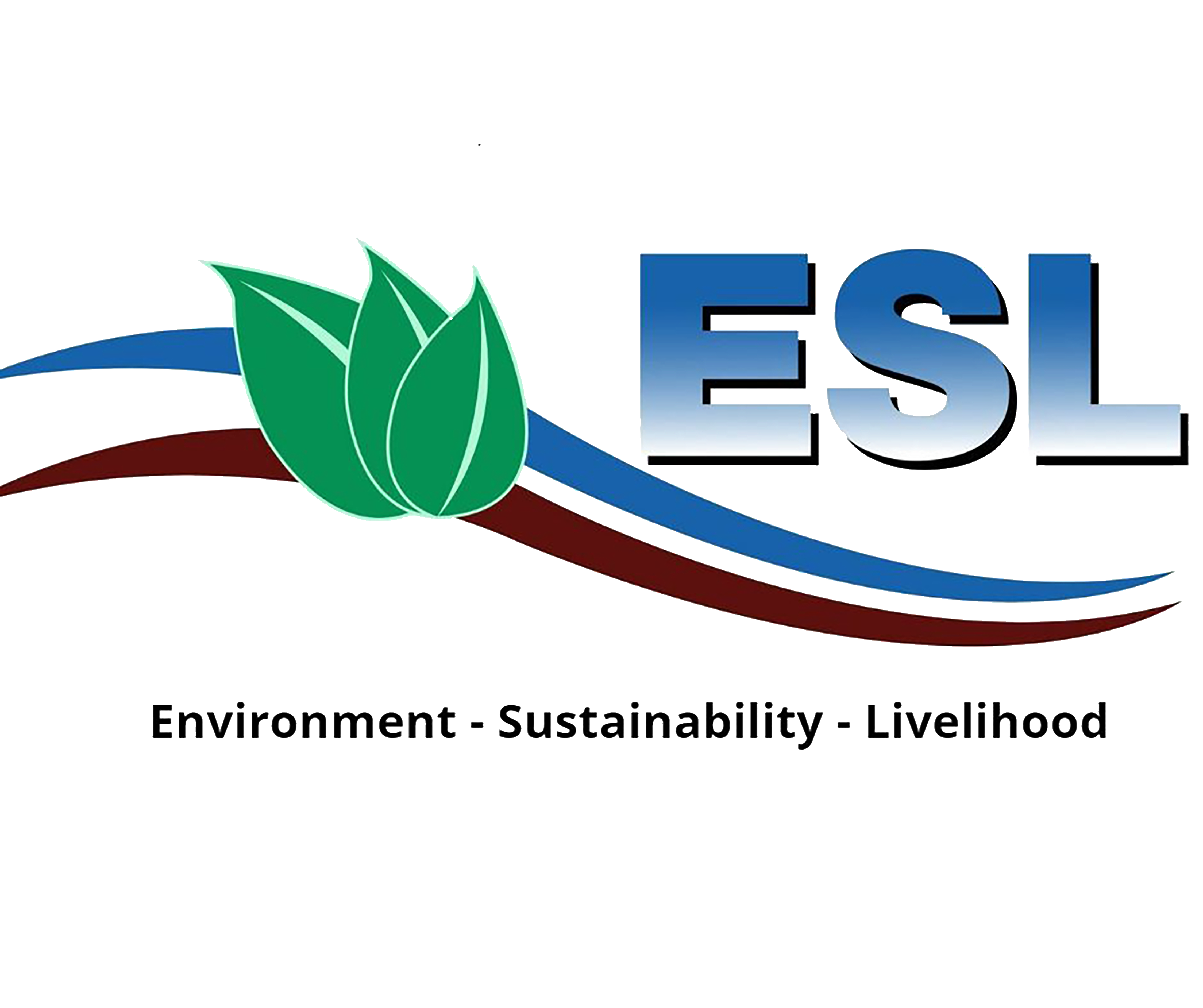 ESL Company