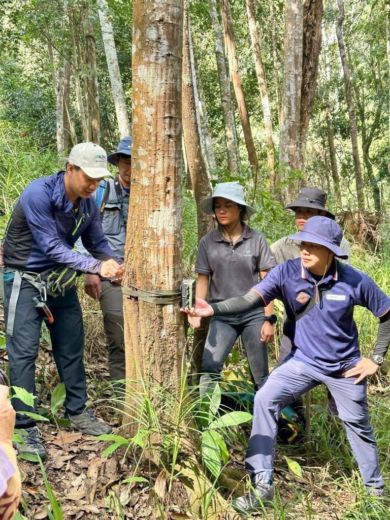 Luang Prabang Hydroelectric Power Project (LPHPP) 500kv Transmismission Line Baseline Biodiversity Survey