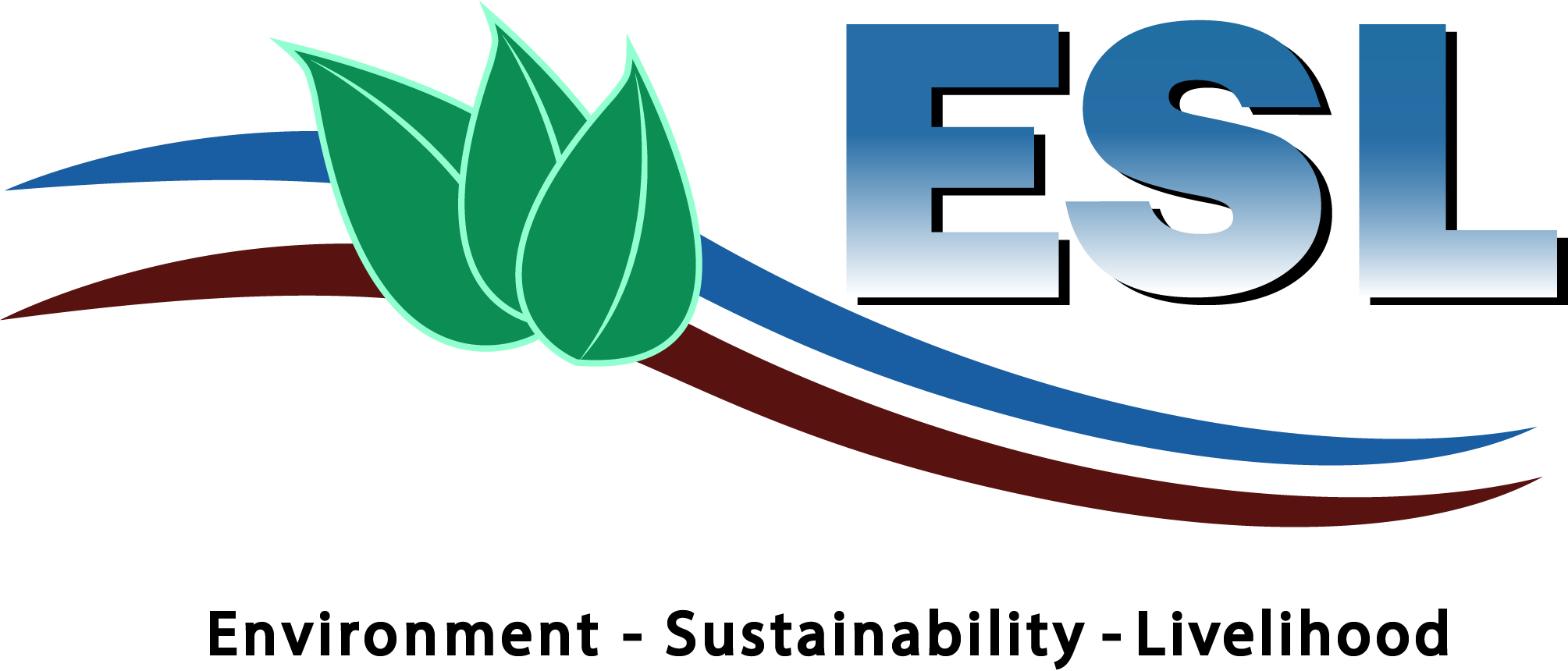 ESL Company